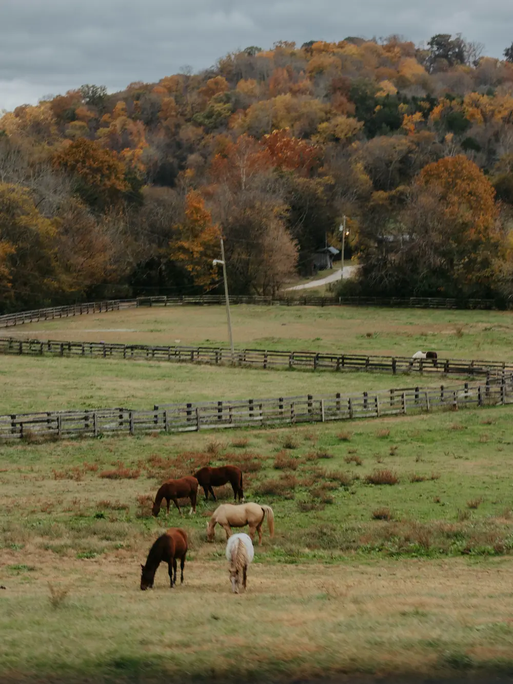 Wooden fence line along a pasture