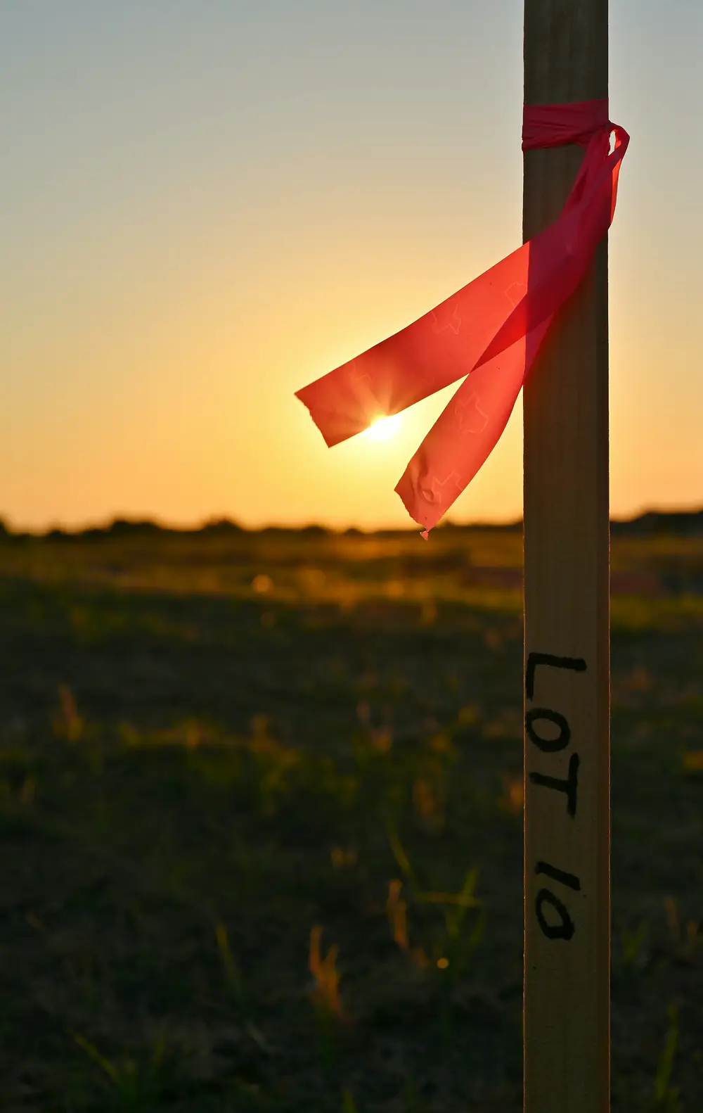 Wooden survey stake with pink flagging tape in a field